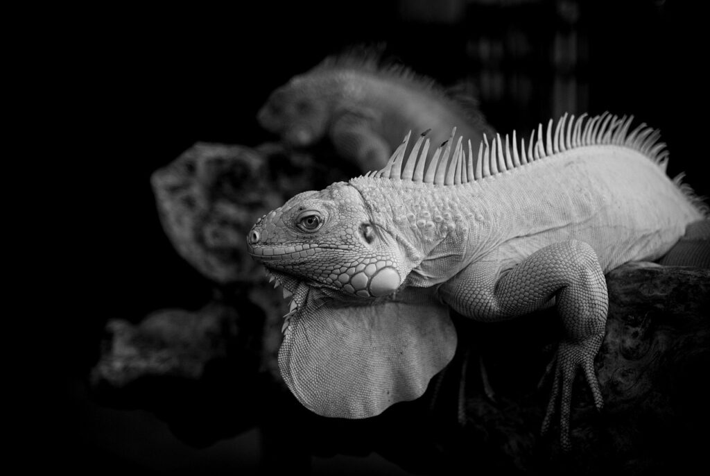 当て逃げの際に車両保険は適用されるのか？