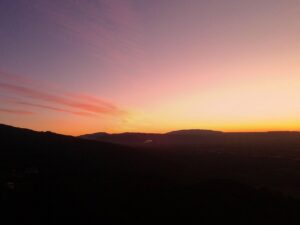 酒気帯び事故で保険は使えるのか？