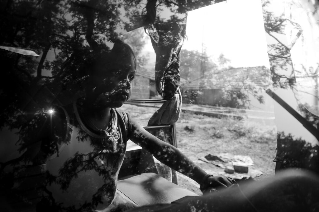 自動車保険でペット同乗をカバーする特約はどのようなものですか？