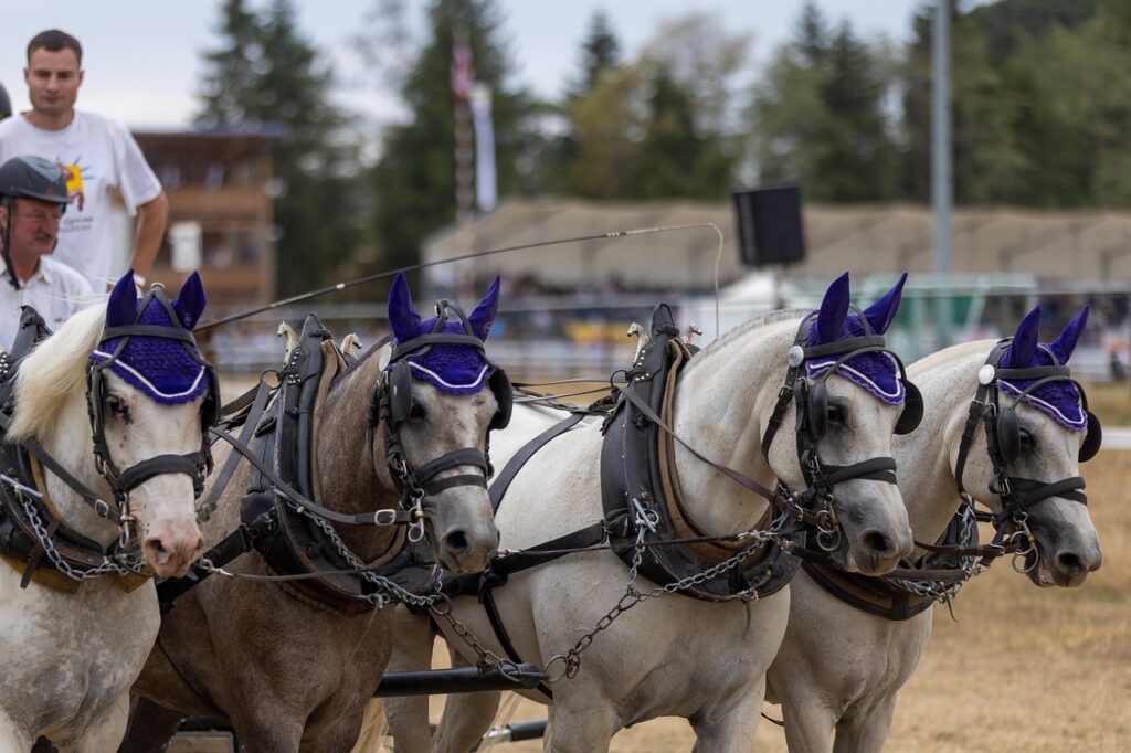 ダイレクト型自動車保険が安い理由とは？